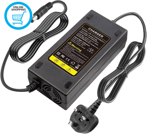 Electric bike lithium - 2a,