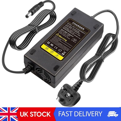 Electric bike lithium - 54.6v,